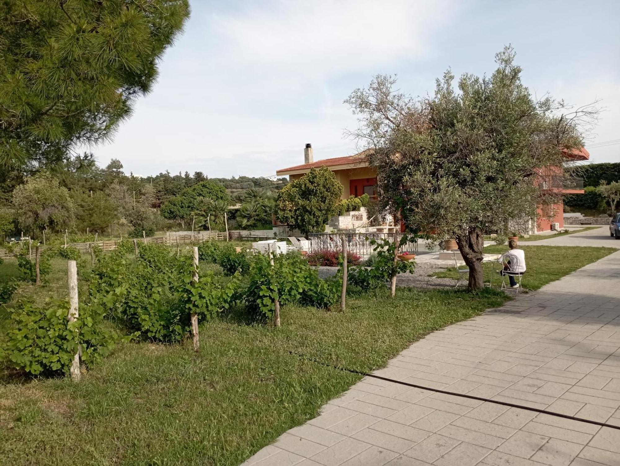 Emarmene With Private Pool Near Rhodes Town & Airport * Koskinou (Rhodes)